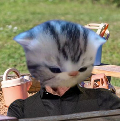 1073