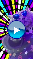 74