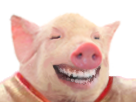 246007