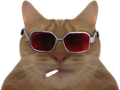 246567