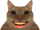 249190