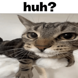 251507