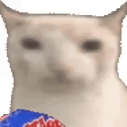 252778