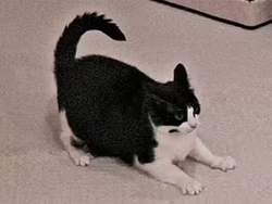 253716