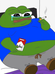 253831
