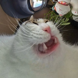 253870