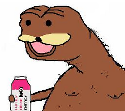 254240