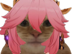 254307