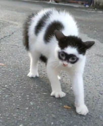 254320