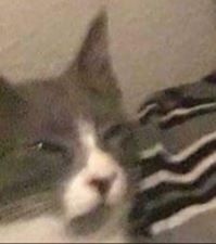 254330
