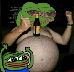 254638