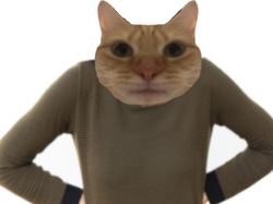 254678