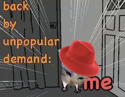 254689