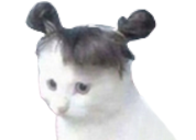 254716