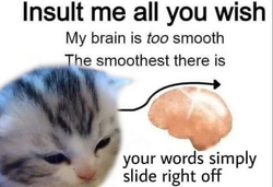 254730