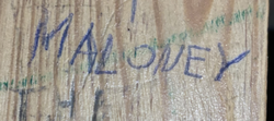 254816
