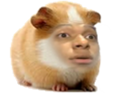 254820