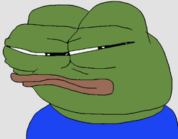 254938