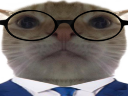 255045