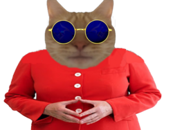 255051