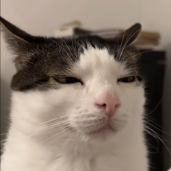 255140