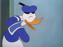 255209