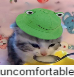255275