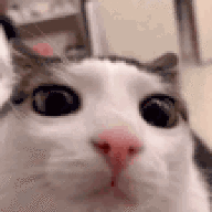 1612
