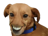 2437