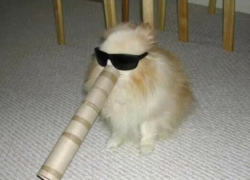 2942