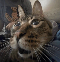 3428