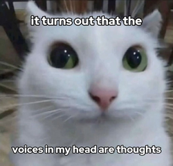3583
