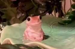 3904