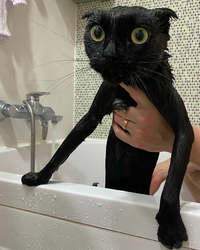 4904