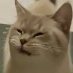 8704