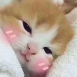 8731