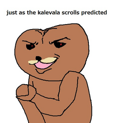 11369