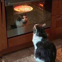 12391
