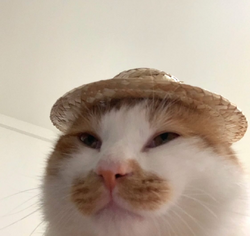 14620