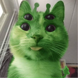 14404
