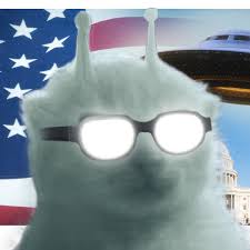 14631