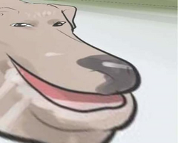 37
