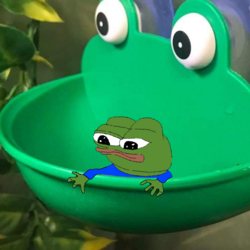 20194