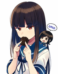 25595