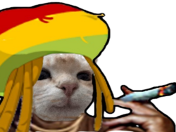 32432