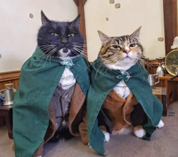 30275