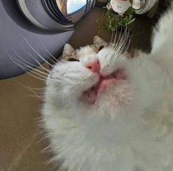 30347
