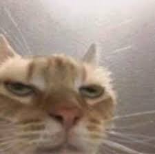 31114