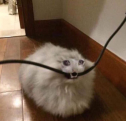 30452