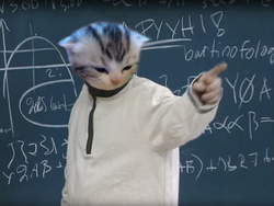 31739